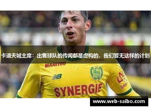 卡迪夫城主席:出售球队的传闻都是虚构的,我们暂无这样的计划 卡迪夫城主席:出售球队的传闻都是虚构的,我们暂无这样的计划